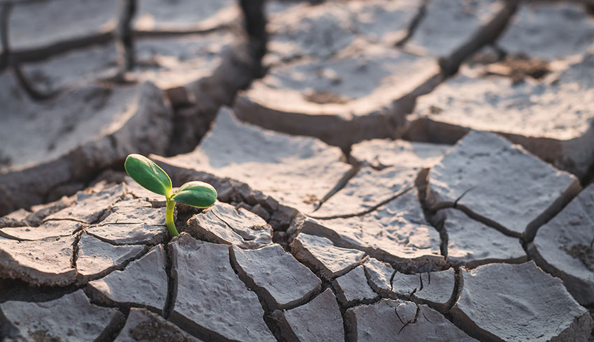 Climate Change – Taking the Temperature of the Insurance Industry and State